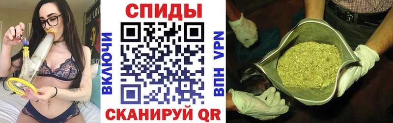 mega вход  сколько стоит  Первоуральск  Бутират оксана 