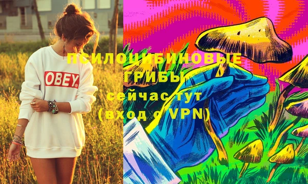 а пвп мука Кукмор