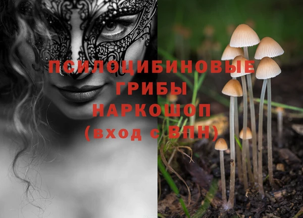 твердый Куйбышев