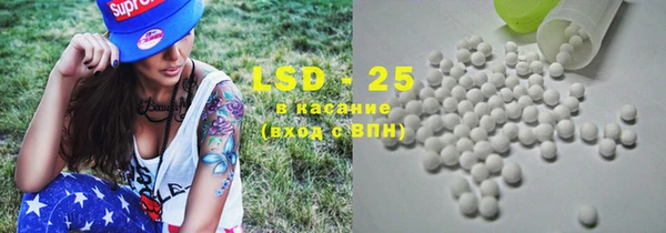 соль ск Краснослободск